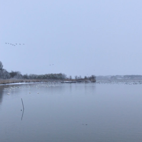 伊豆沼の朝の画像