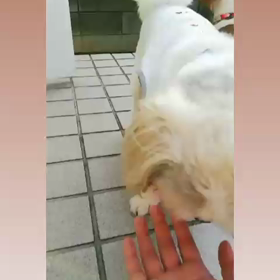 ごきげんさん♪の画像