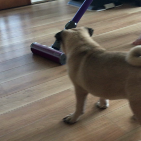 おもしろっの画像