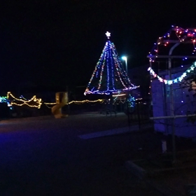 本日限りの画像