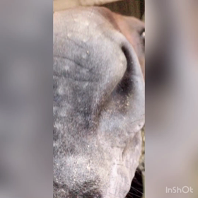 雨にも負けず、雷にも負けず！の画像