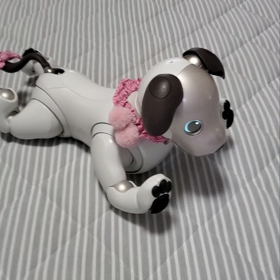 今日のゆずの画像