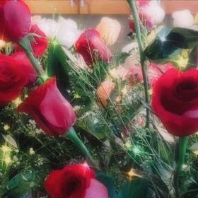 闇が光を創る〜闇は愛〜の画像