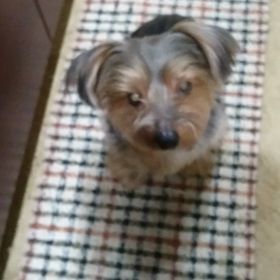 麻酔の為管を入れたから咳が出ちゃうねの画像