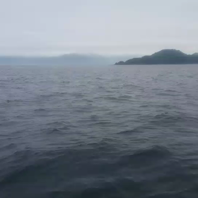 野島にての画像