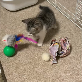 今まで☺の画像