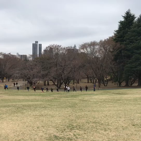 芝生坂ダッシュ(Bグループ)⑮の画像