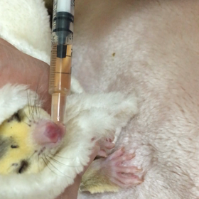 プランのその後。の画像