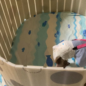 長時間徘徊の日の画像