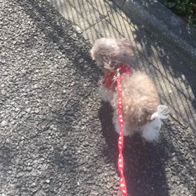 レイチェルがとっても元気の画像