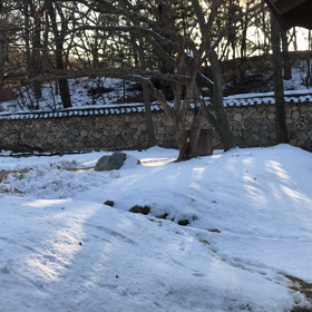 韓国民俗村 動画②の画像