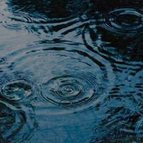 雨の写真集の画像