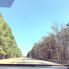 Atlanta〜South Carolinaまでの景色の画像