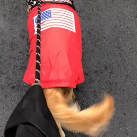 るんるんでお散歩の画像