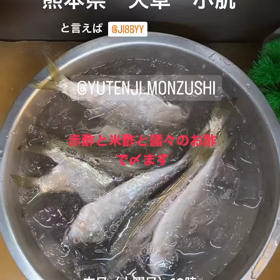 熊本県　天草　小肌の画像