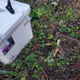 20191214-2 ソロキャンプ　ハンモックで一夜　その2の画像