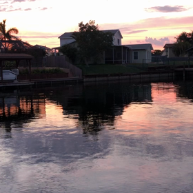 夕陽とイルカの画像