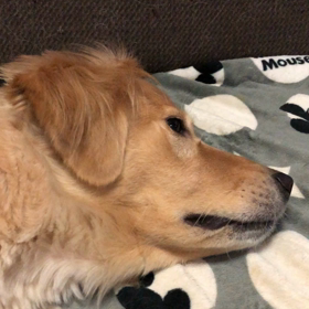 おはよーの画像