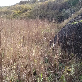 H30 2回目の丹後半島遠征の画像