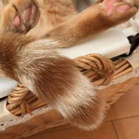 いびきマロン② 動画＊の画像