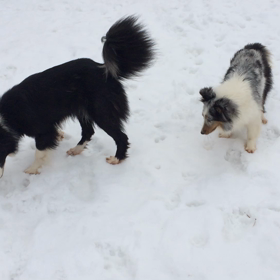 いい時に帰って来たの画像