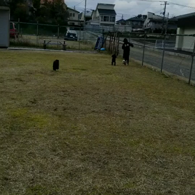 仲良しさんの画像