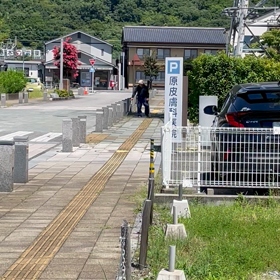 なぜ公共の場所に除草剤を撒くの？！！の画像