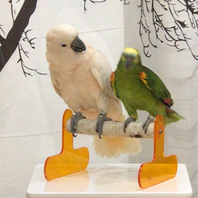 アクシデントの画像