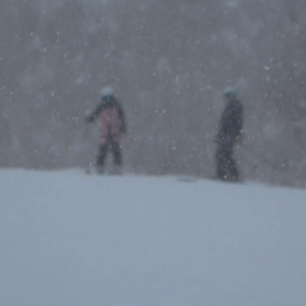 今シーズンの画像