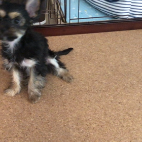 レベルアップ❗️の画像