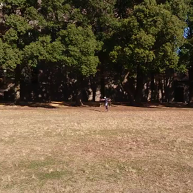 ジャベリック(記録会)⑭の画像