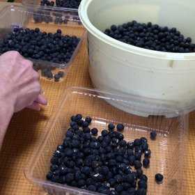 猪名川農業女子PJの画像