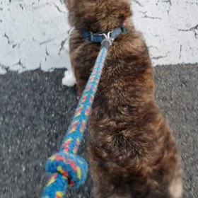 こんな特技があるんです(笑)の画像