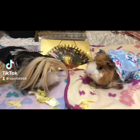 謹賀新年❣️2022年の画像