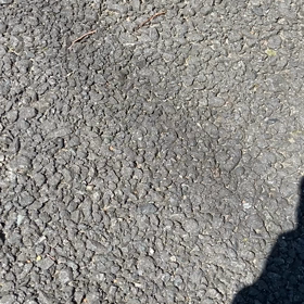 あさかさあの画像