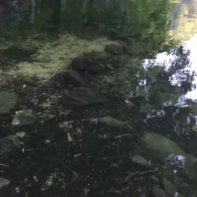 絶不調からの…の画像