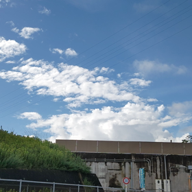 せめぎ合いの画像