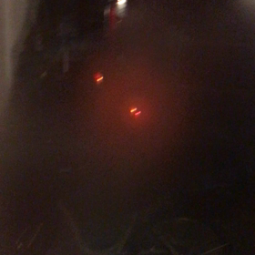 12/6〜12／12 シツコイコジキがまた人の垢に不正アクセスポイント泥棒をの画像