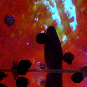 ユラユラの画像