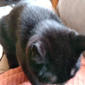 モミモミ…の画像