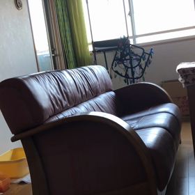 腰痛で今日も暇…涙。デールを隠し撮りしていたら又倒された！の画像