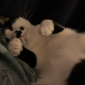 バックパッカーになりたいの画像