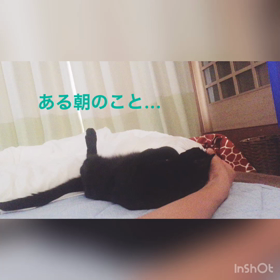 ねこのねぞう(*´꒳`*)の画像