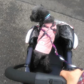 モニカ　私のお気に入り動画♡の画像