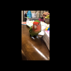 いろんな方に助けてもらってるなーってゆーブログの画像