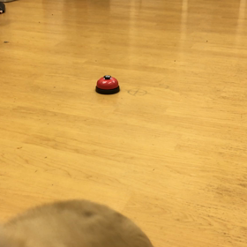 レオ編。の画像