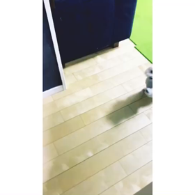 好きなものの画像