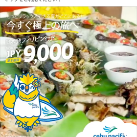 セブパシフィック  プロモの画像