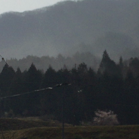 この時期ご迷惑を掛けてますの画像