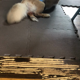 スタスタスタの画像